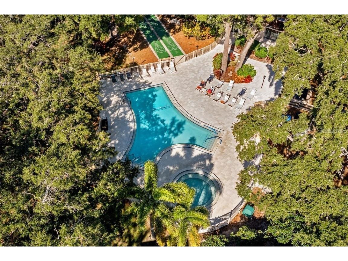 871 New York Avenue #307 Dunedin FL 34698 TB8458337 image32