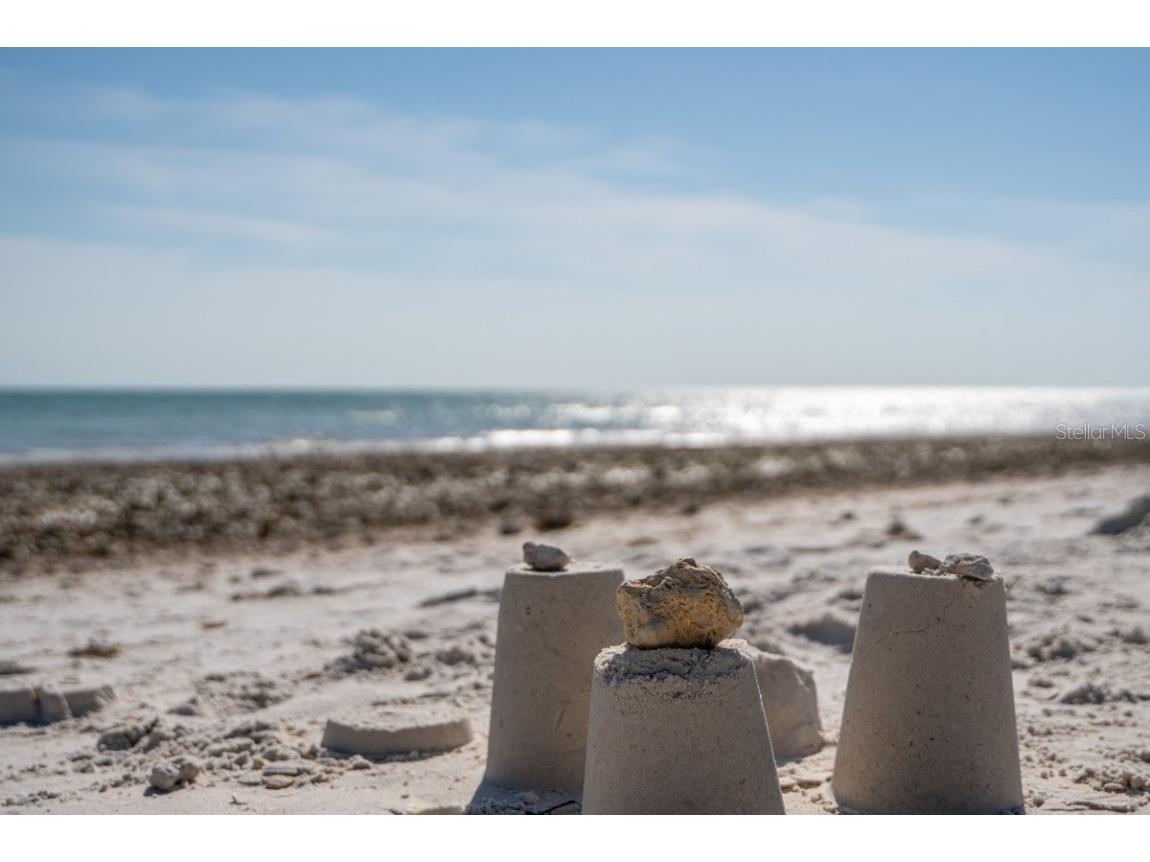 871 New York Avenue #307 Dunedin FL 34698 TB8458337 image45