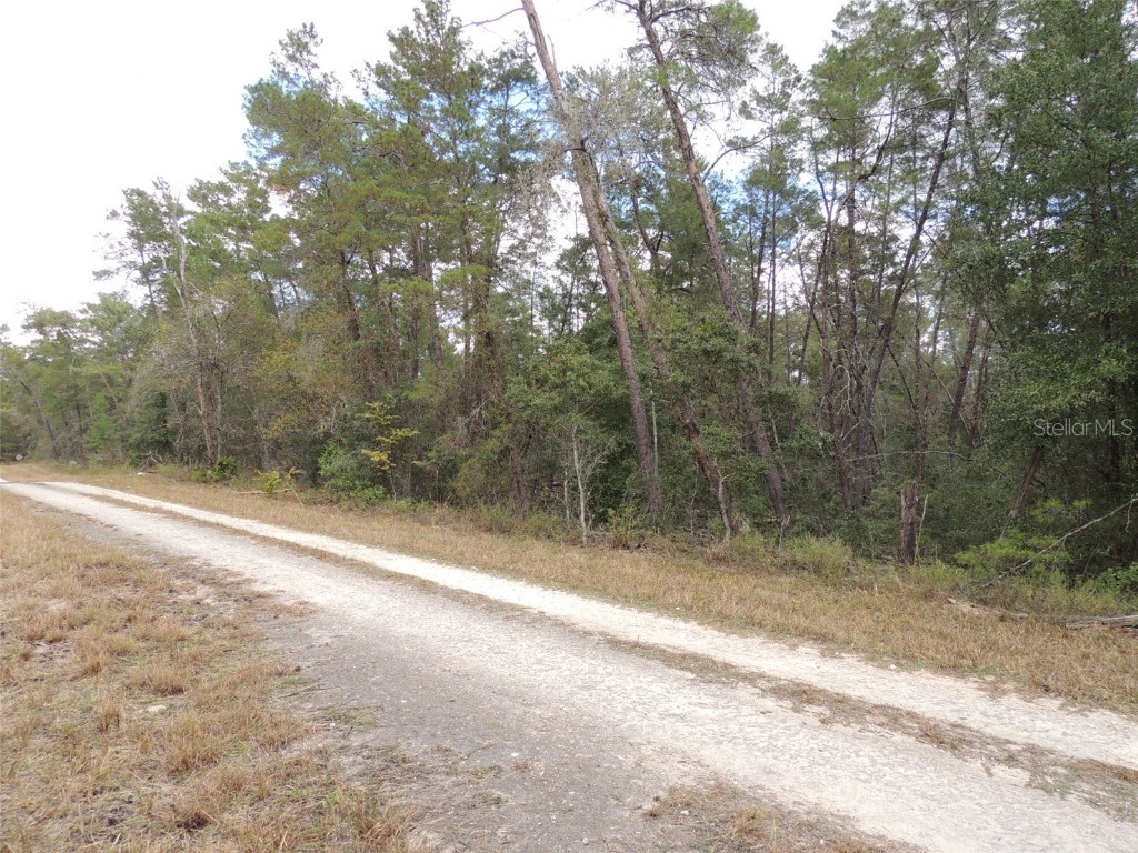 871 SE 145th Court Williston FL 32696 OM647957 image1