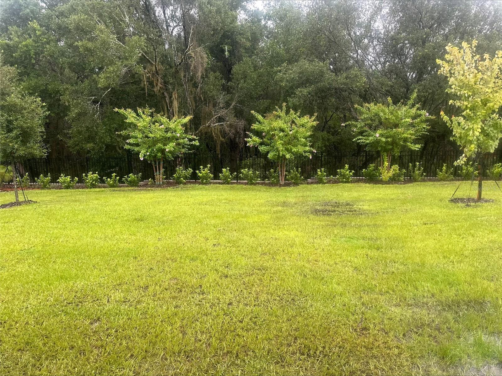 871 Shumard Way Lady Lake FL 32159 G5106169 image13