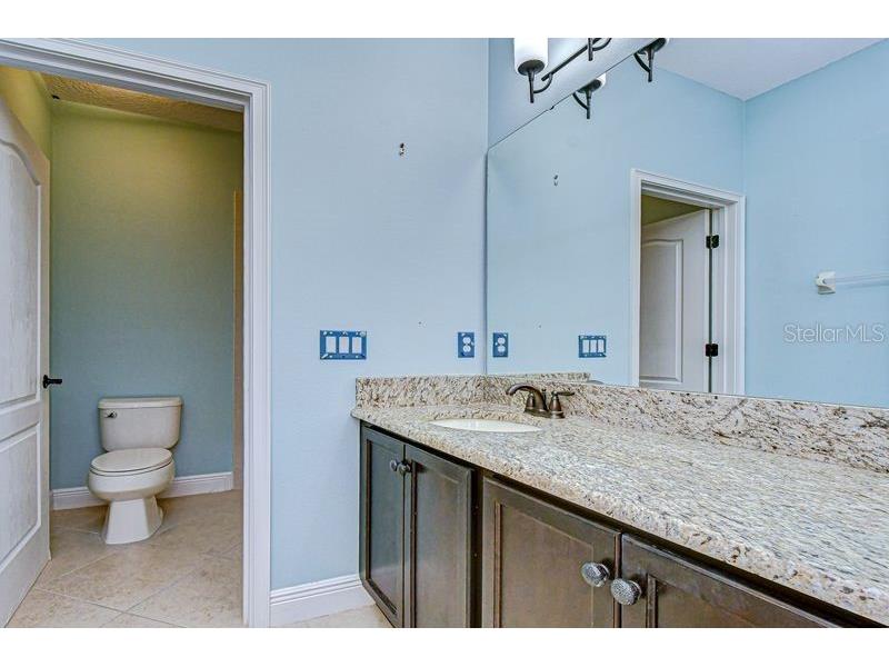871 Vino Verde Circle Brandon FL 33511 TB8487086 image28
