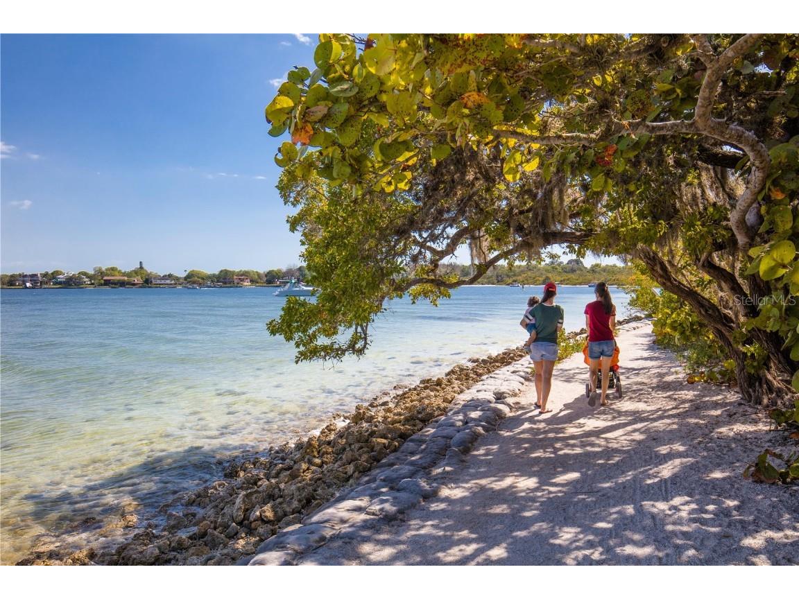 8710 54th Avenue W #8710 Bradenton FL 34210 A4652626 image60