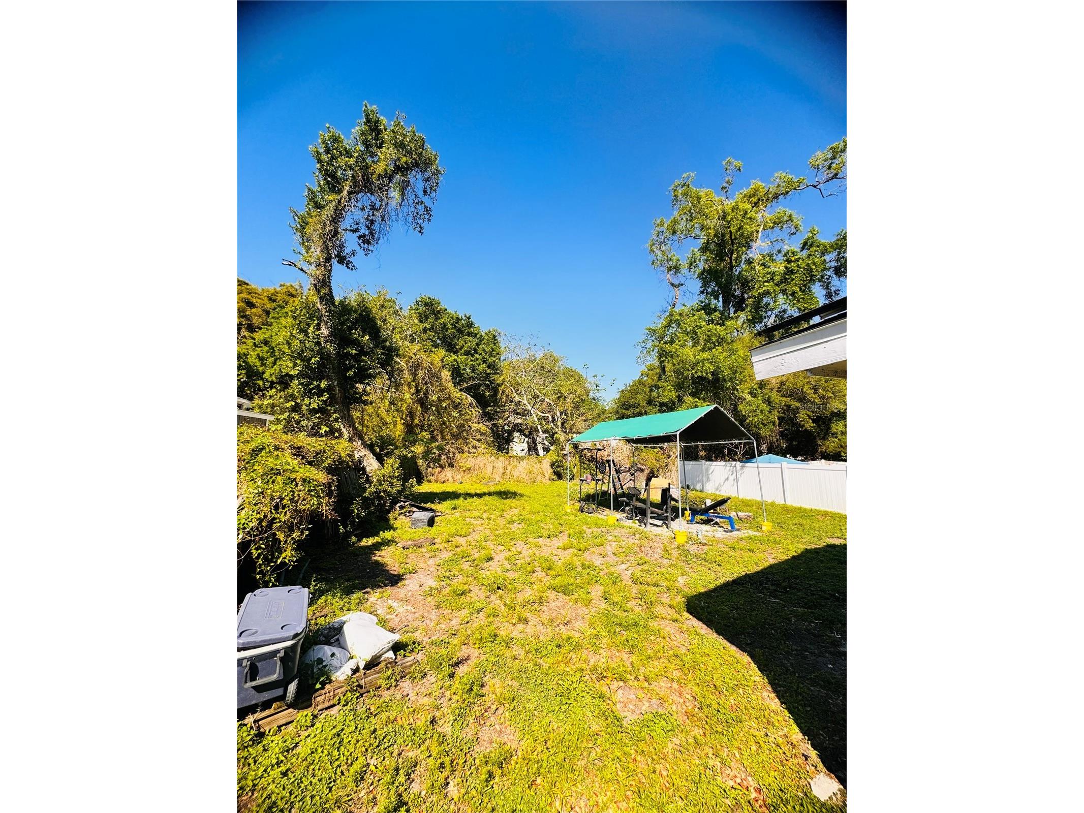 8710 N Tangerine Place Tampa FL 33617 TB8506529 image11