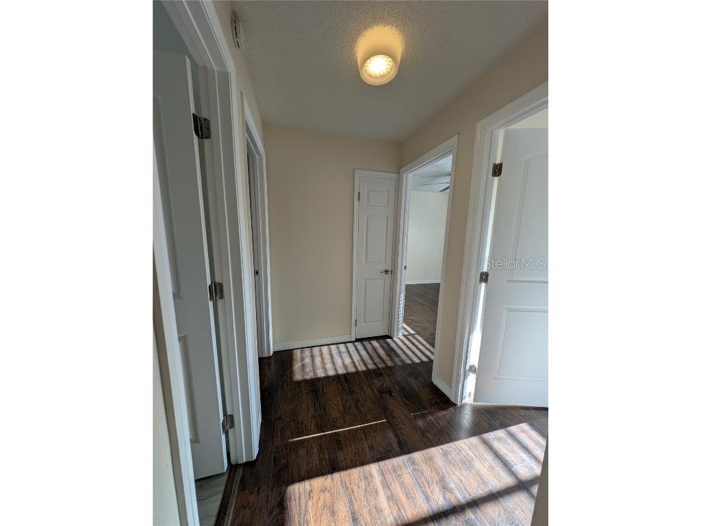 8710 Plum Lane Temple Terrace FL 33637 TB8422682 image12