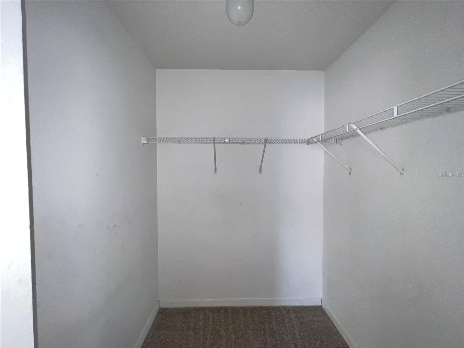 8710 Rain Forest Place #D Kissimmee FL 34747 O6414599 image22