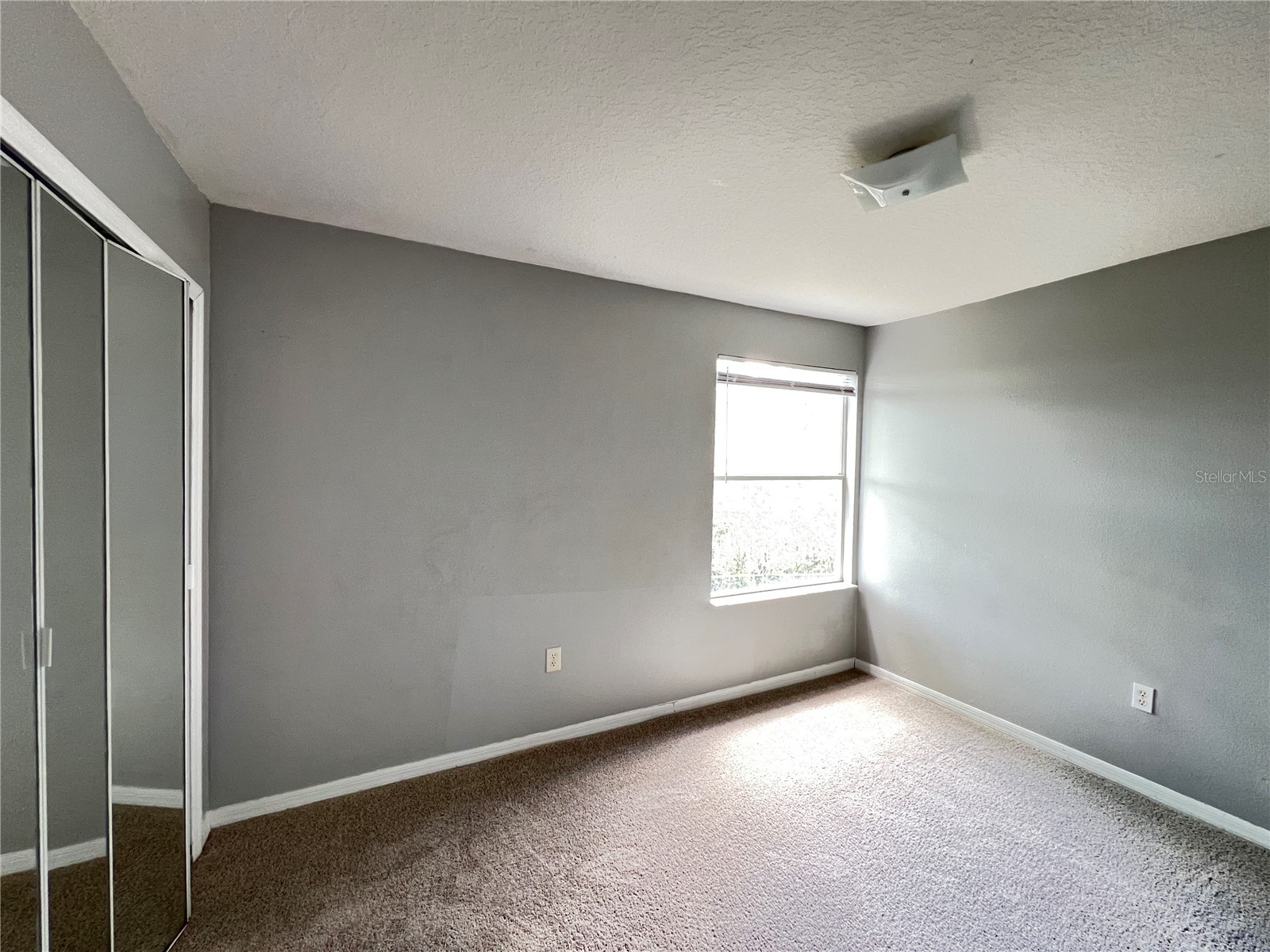 8710 Rain Forest Place #D Kissimmee FL 34747 O6414599 image24