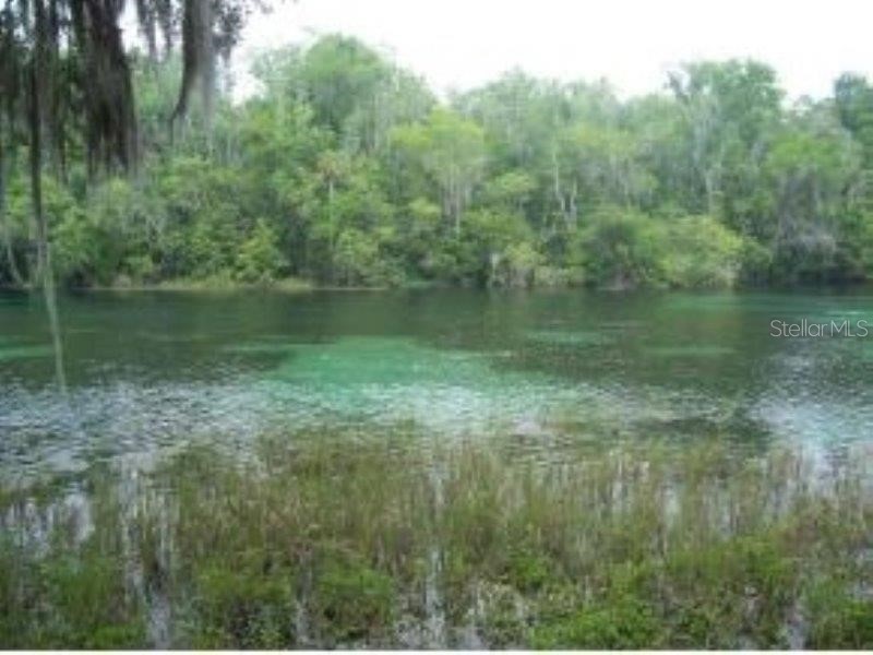 8710 SW 190th Circle Dunnellon FL 34432 - RAINBOW RIVER OM723276 image53