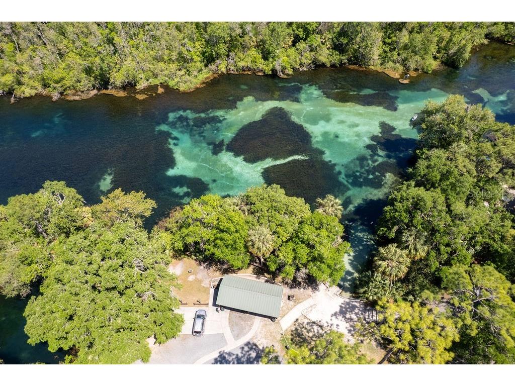 8710 SW 190th Circle Dunnellon FL 34432 - RAINBOW RIVER OM723276 image55