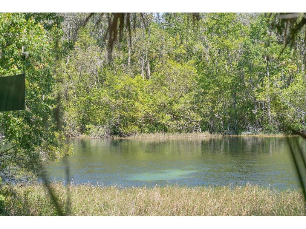 8710 SW 190th Circle Dunnellon FL 34432 - RAINBOW RIVER OM723276 image57
