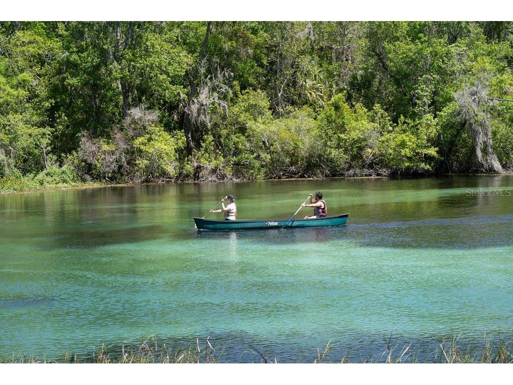 8710 SW 190th Circle Dunnellon FL 34432 - RAINBOW RIVER OM723276 image58