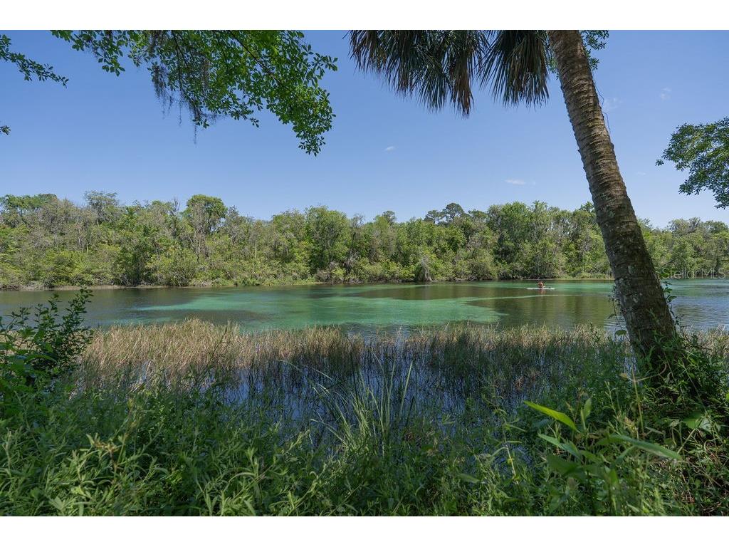 8710 SW 190th Circle Dunnellon FL 34432 - RAINBOW RIVER OM723276 image59