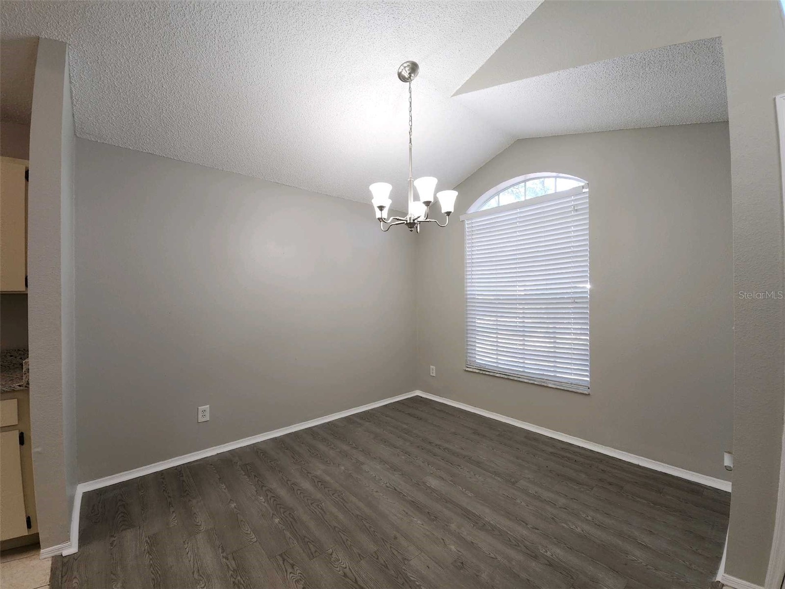 8710 Triple Oaks Road Temple Terrace FL 33637 O6398871 image3