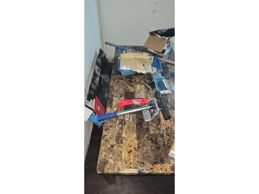 8711 Cobbler Place Tampa FL 33615 TB8422809 image38