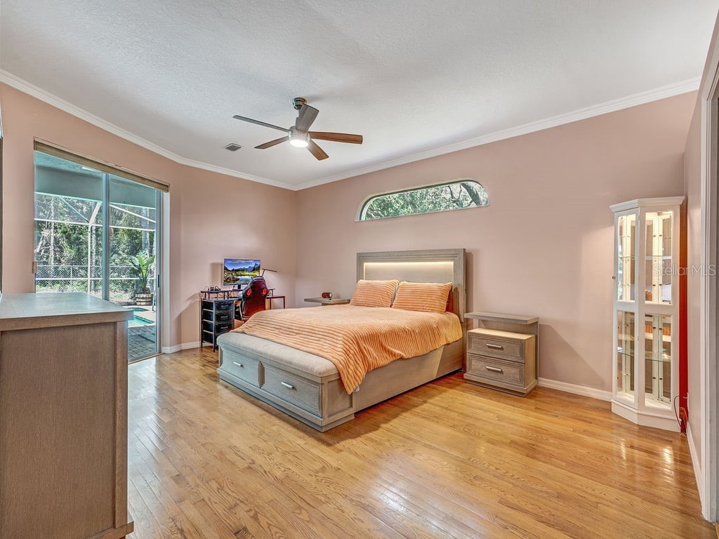 8711 Crescent Forest Boulevard New Port Richey FL 34654 TB8474866 image20