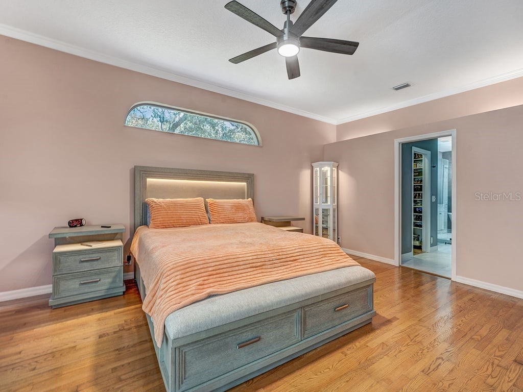 8711 Crescent Forest Boulevard New Port Richey FL 34654 TB8474866 image21