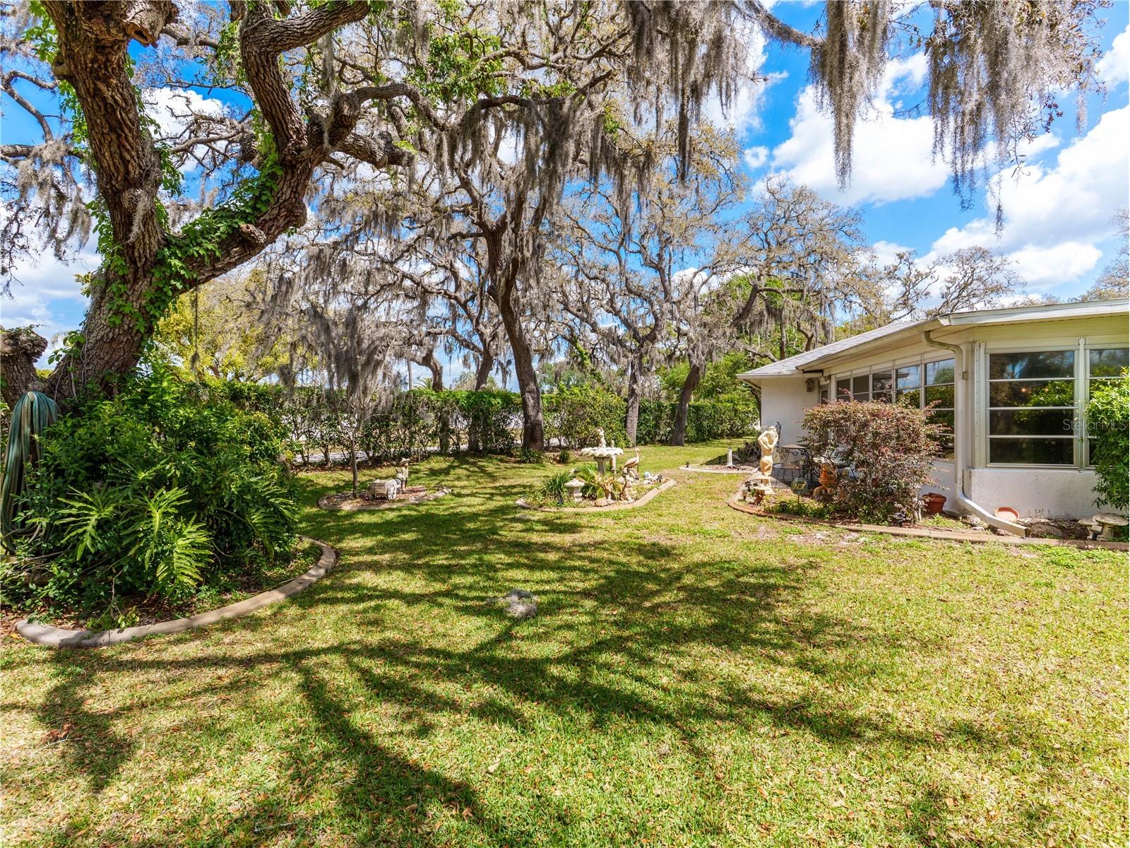 8711 Gold Pine Dr Port Richey FL 34668 W7884417 image24