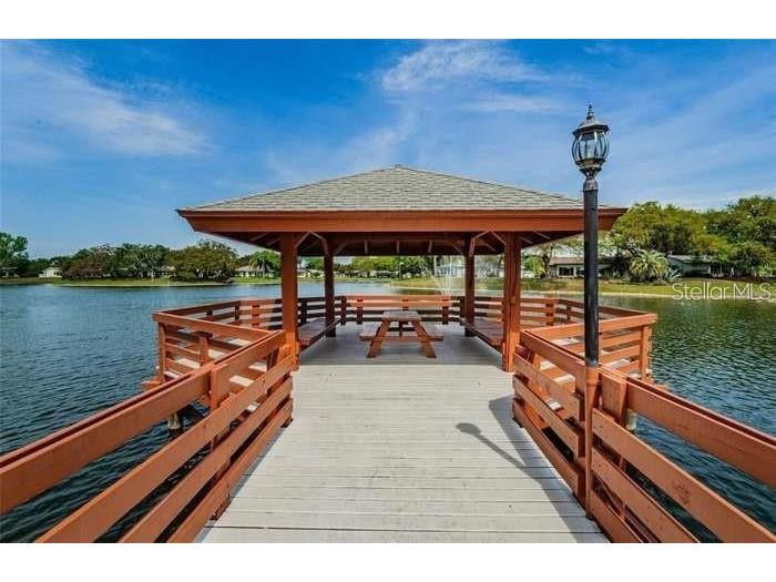 8711 Gold Pine Dr Port Richey FL 34668 W7884417 image25