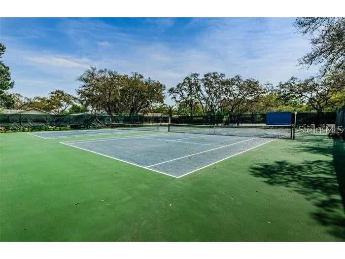 8711 Gold Pine Dr Port Richey FL 34668 W7884417 image29