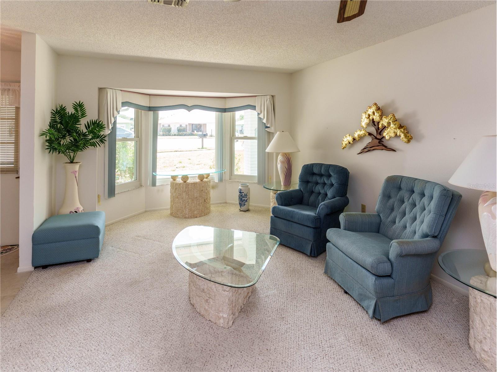 8711 Gold Pine Dr Port Richey FL 34668 W7884417 image6