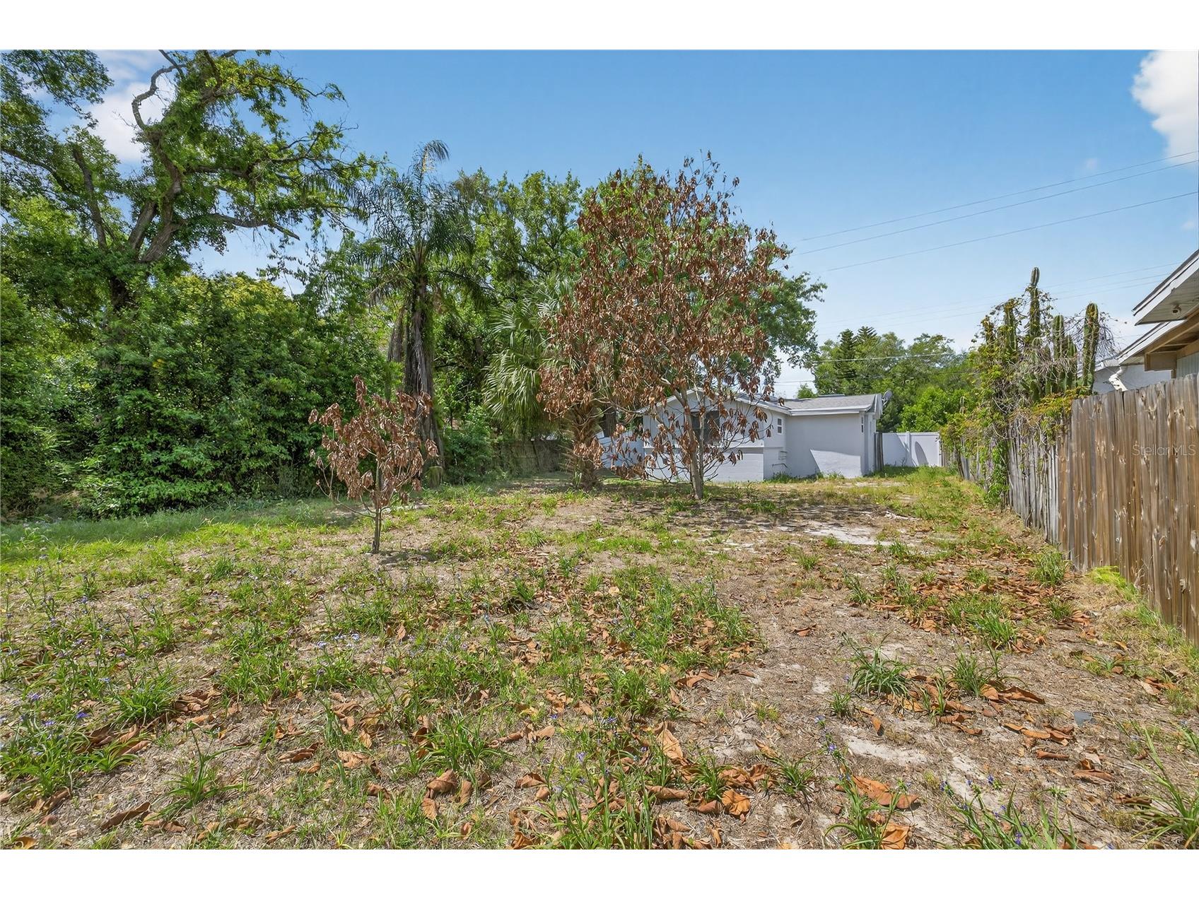 8711 N Boulevard St Tampa FL 33604 TB8486811 image18