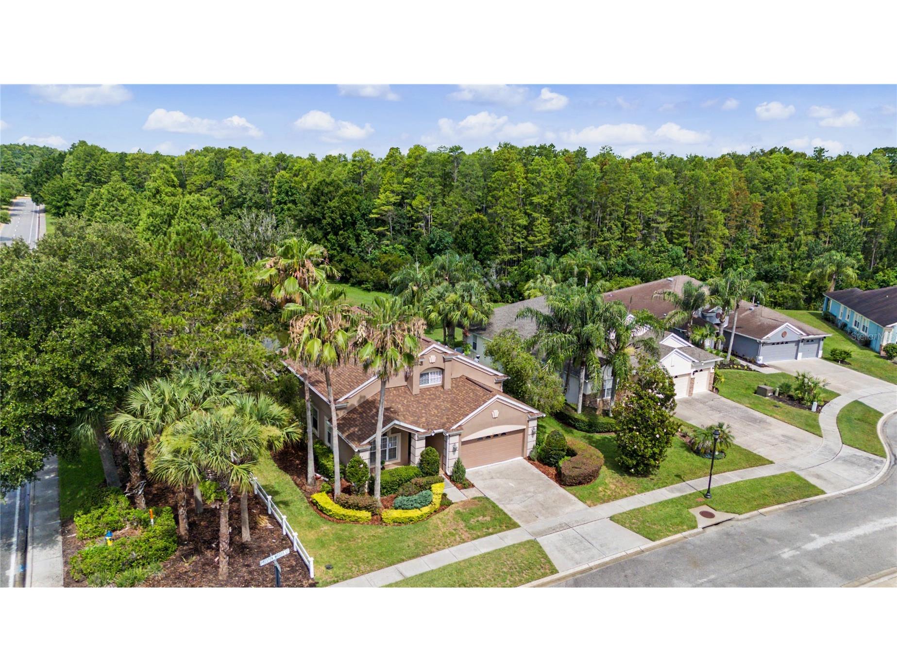 8711 Preston Woods Court Land O Lakes FL 34638 TB8517557 image2