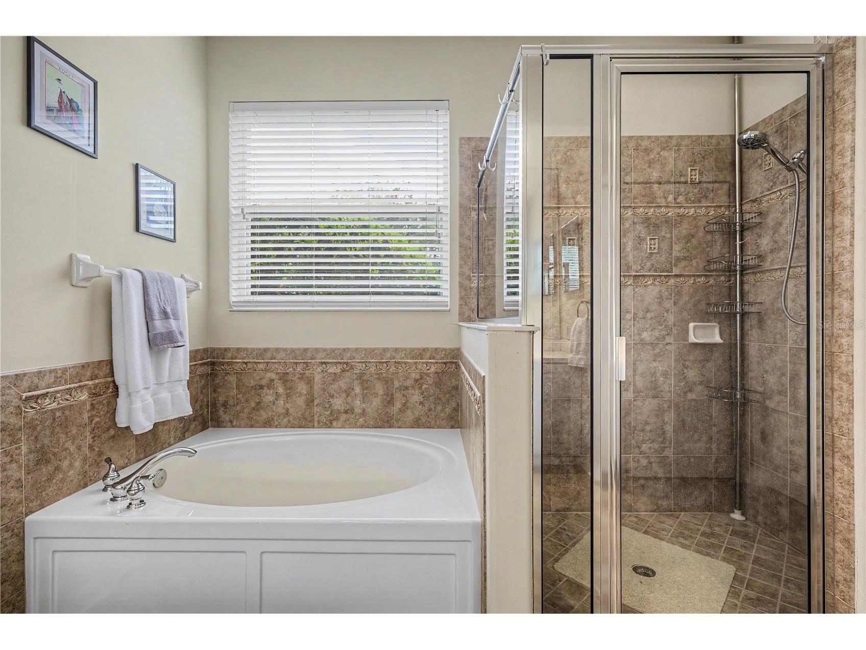 8711 Preston Woods Court Land O Lakes FL 34638 TB8517557 image26