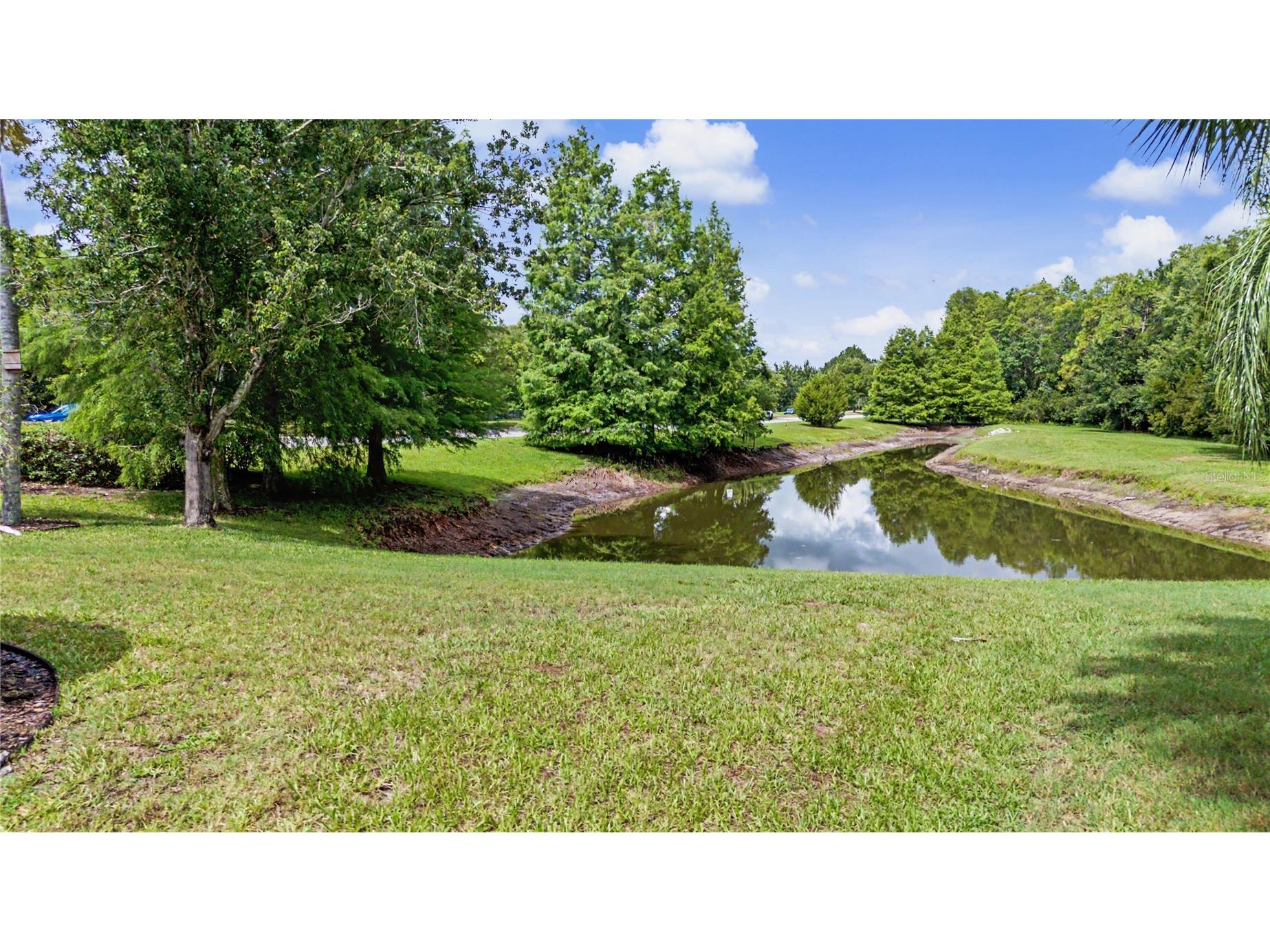 8711 Preston Woods Court Land O Lakes FL 34638 TB8517557 image34