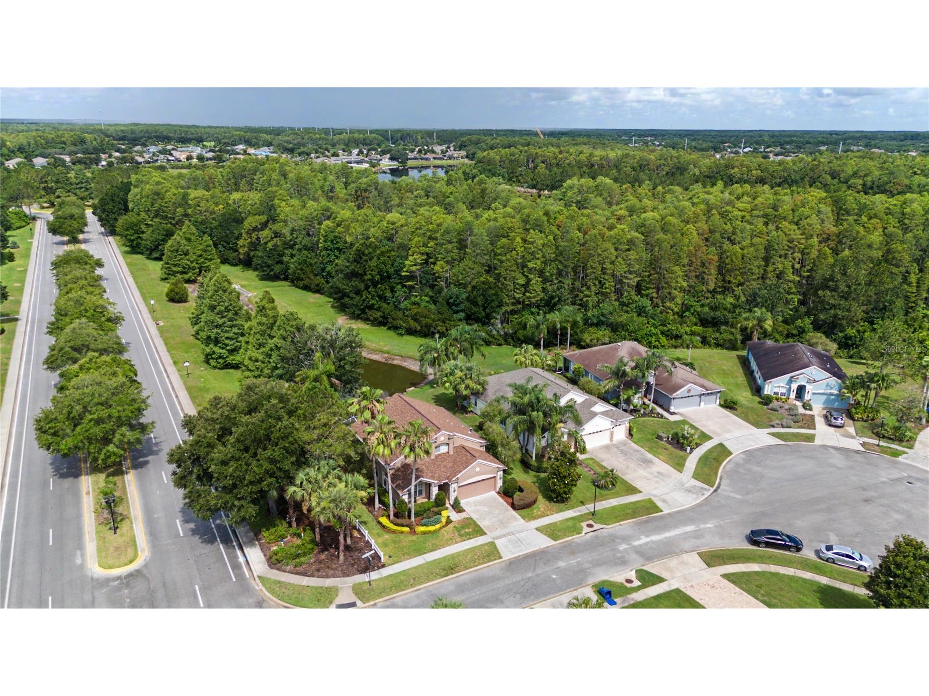 8711 Preston Woods Court Land O Lakes FL 34638 TB8517557 image43