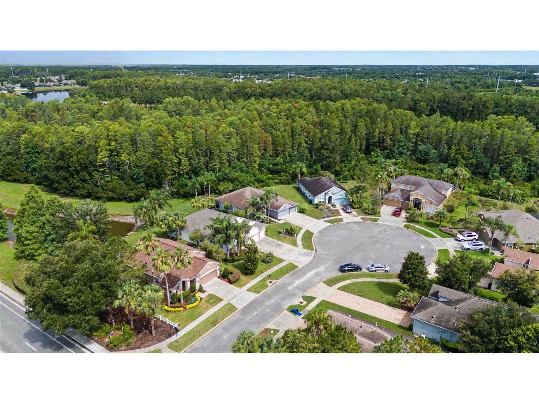 8711 Preston Woods Court Land O Lakes FL 34638 TB8517557 image45
