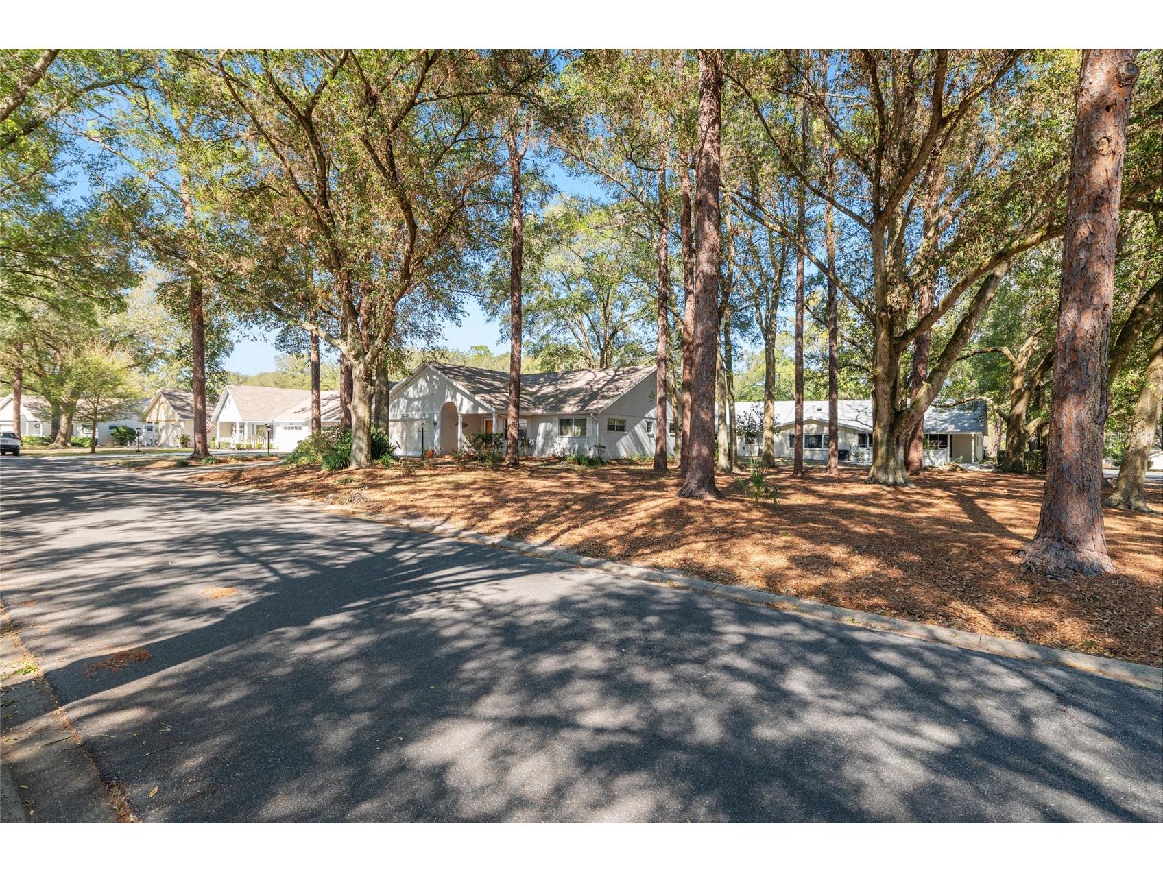 8711 SW 92nd Place #D Ocala FL 34481 OM717914 image3