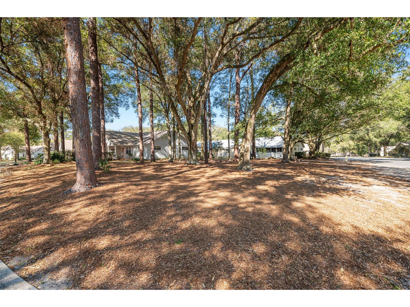 8711 SW 92nd Place #D Ocala FL 34481 OM717914 image57