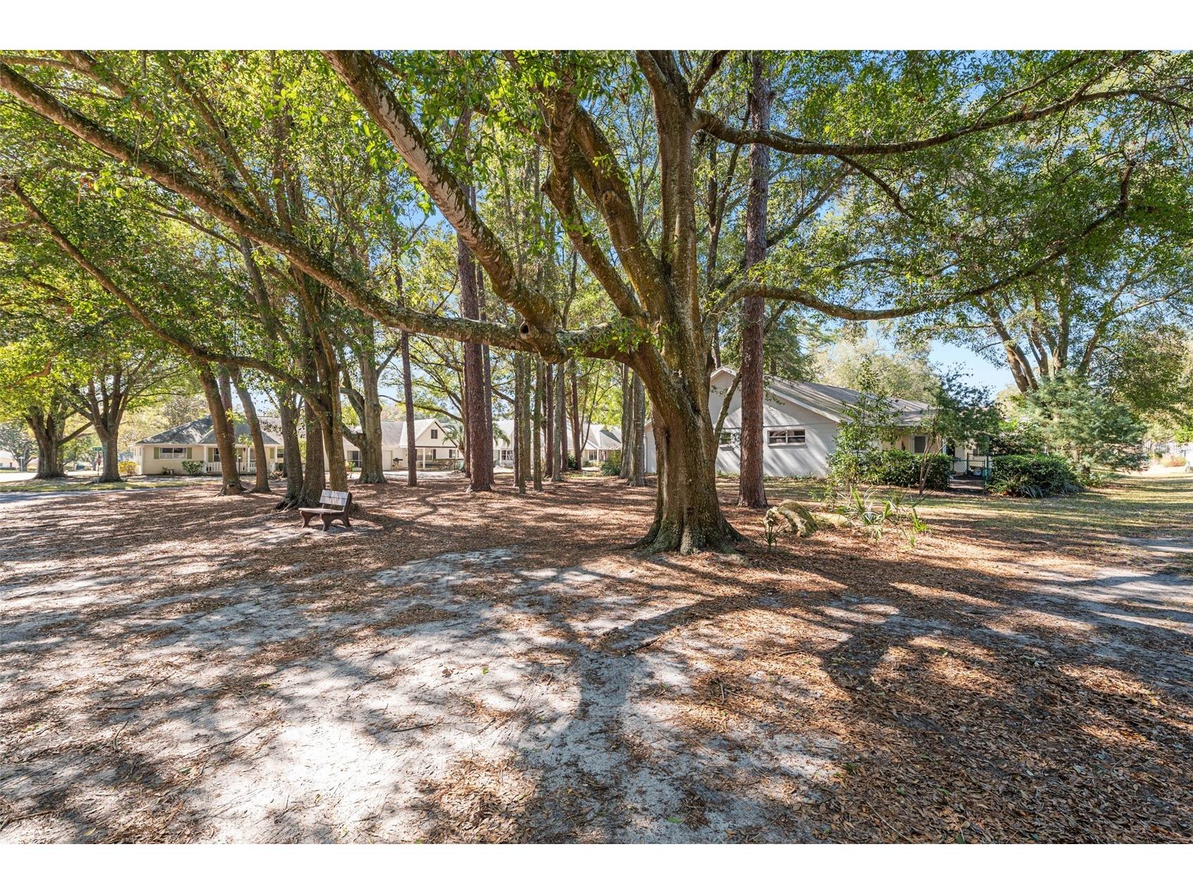 8711 SW 92nd Place #D Ocala FL 34481 OM717914 image60