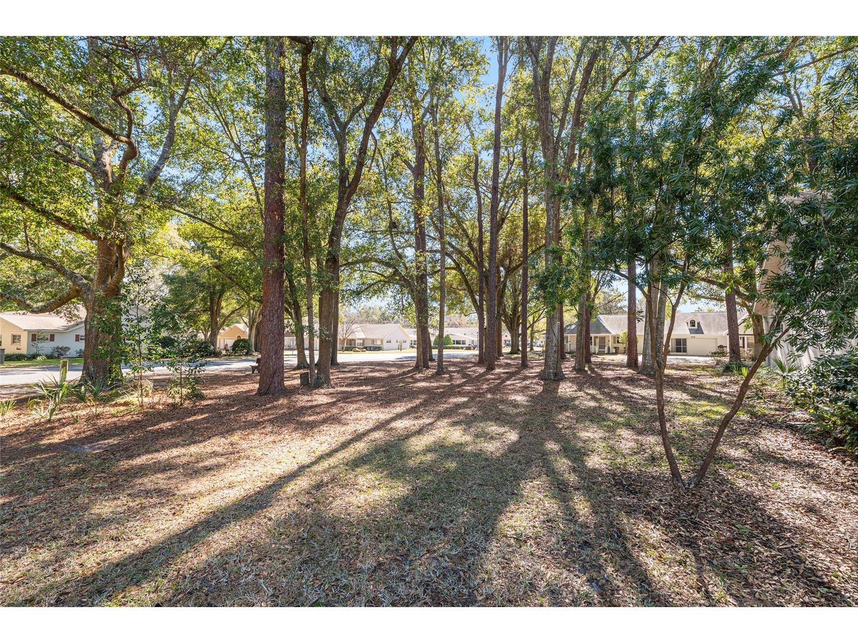 8711 SW 92nd Place #D Ocala FL 34481 OM717914 image61