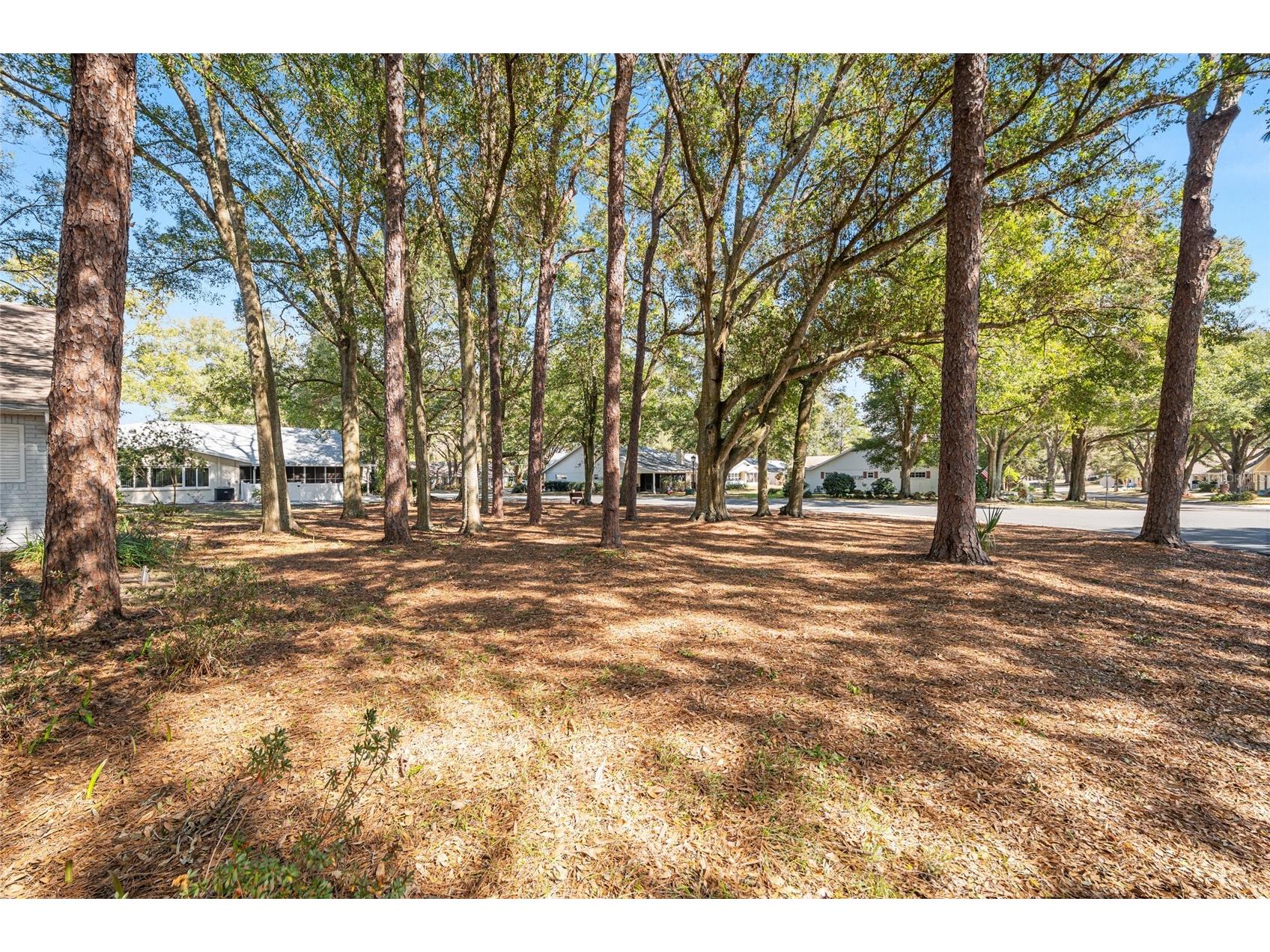 8711 SW 92nd Place #D Ocala FL 34481 OM717914 image62