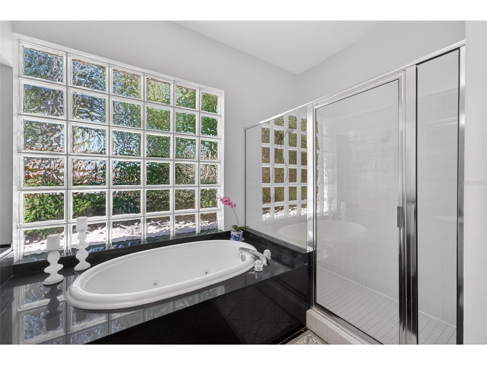 8712 Tantallon Circle Tampa FL 33647 TB8500787 image39