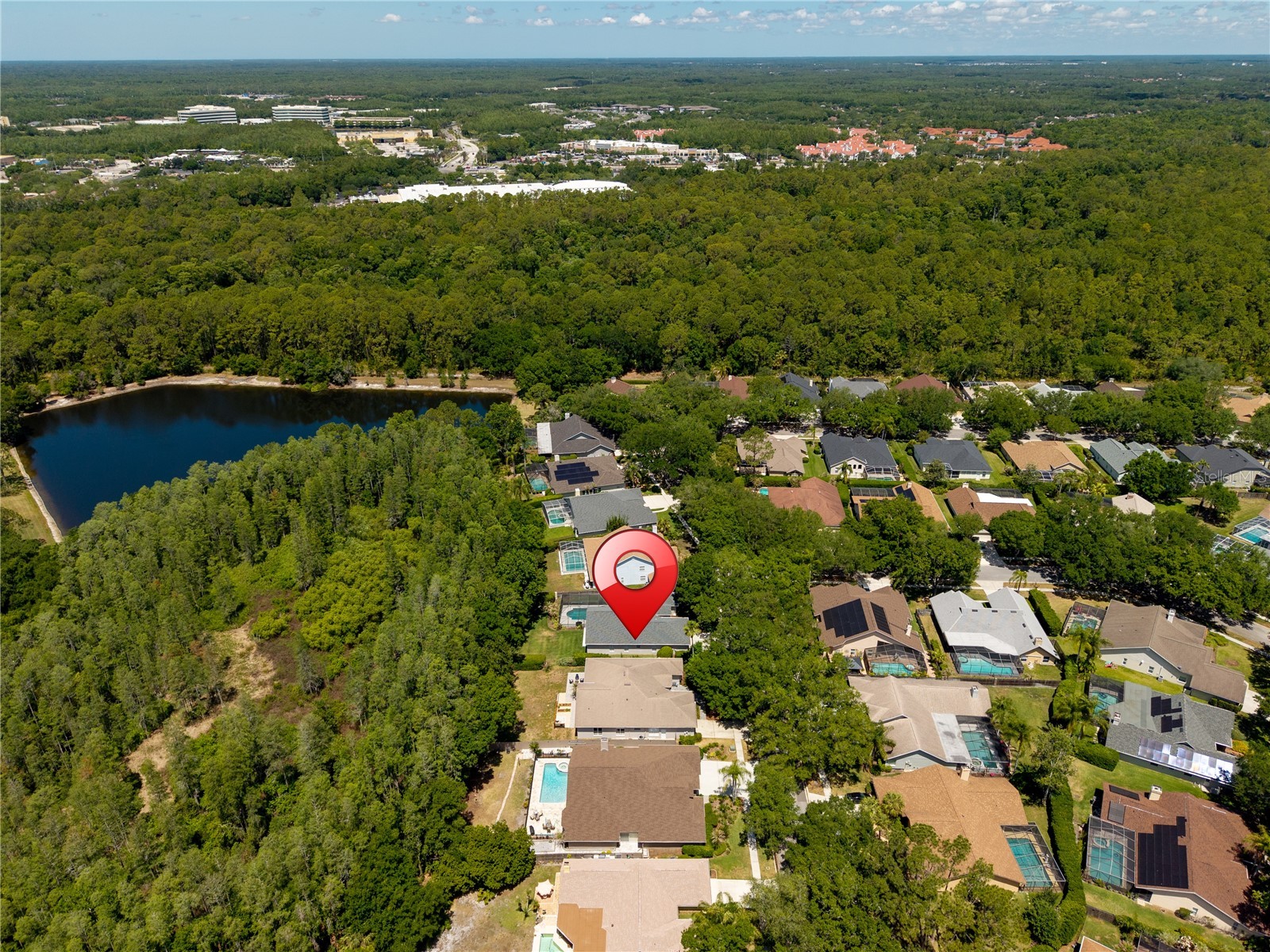 8712 Tantallon Circle Tampa FL 33647 TB8500787 image74