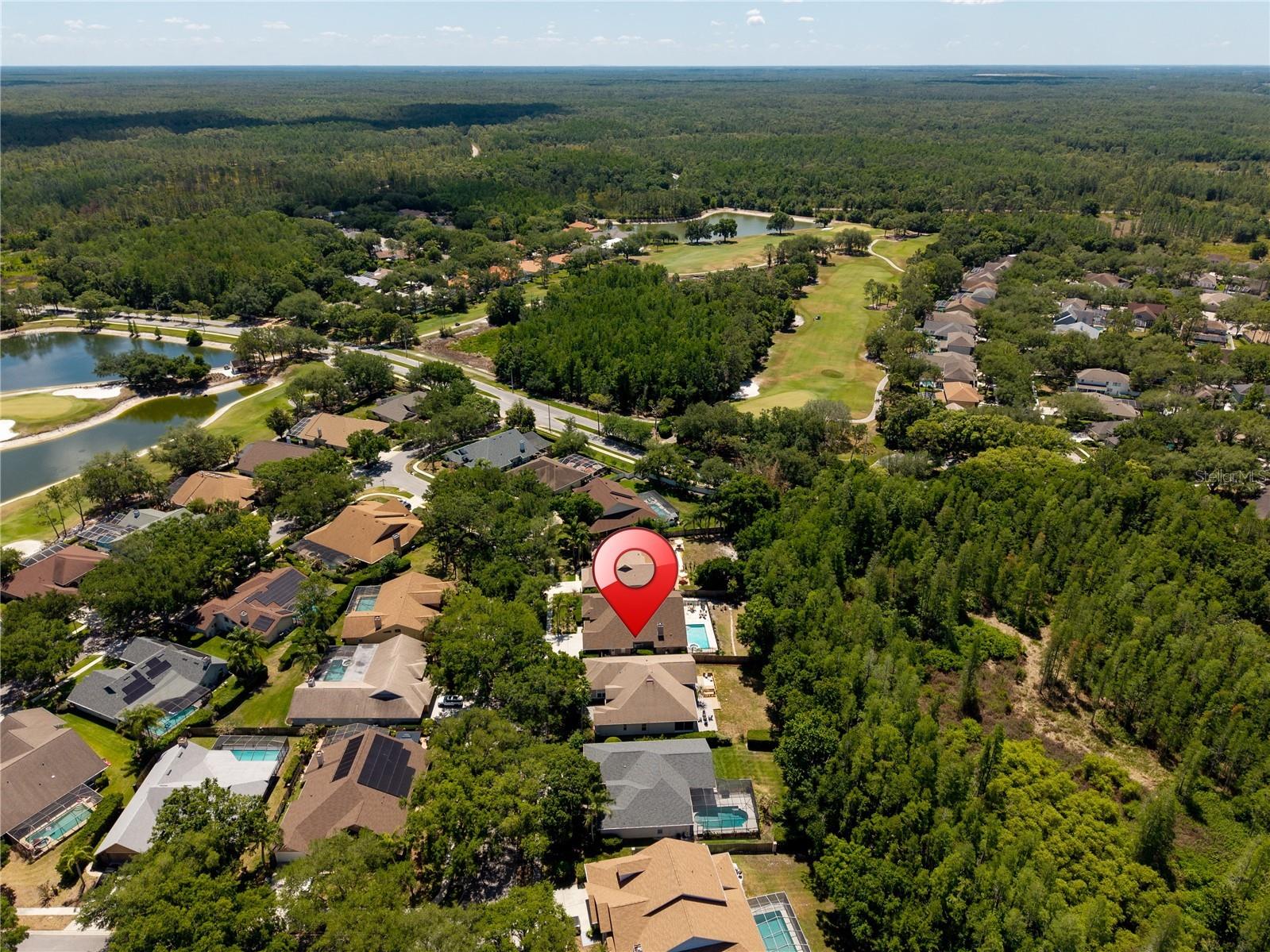 8712 Tantallon Circle Tampa FL 33647 TB8500787 image77