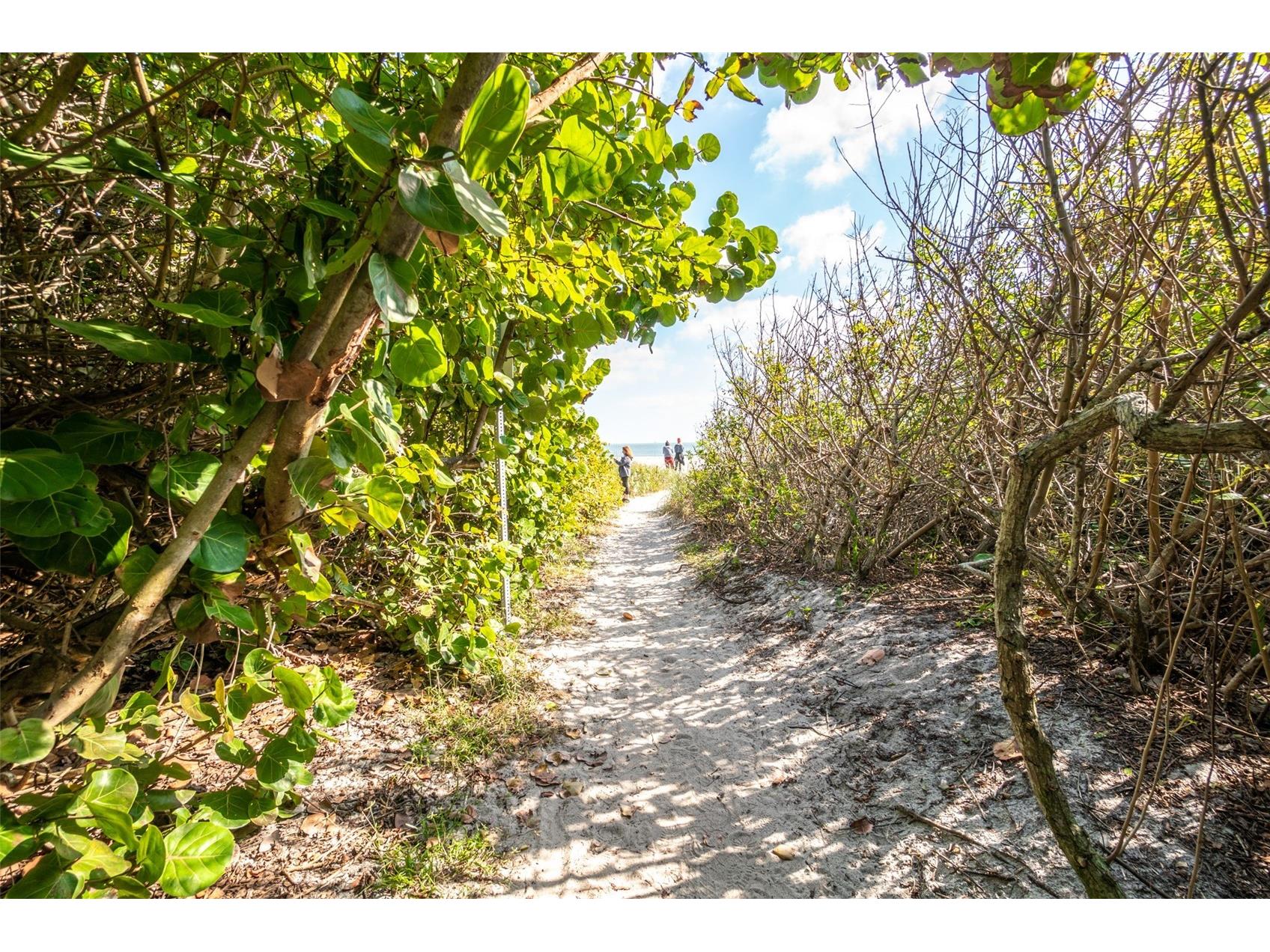 8713 Bay Court Cape Canaveral FL 32920 O6388241 image24
