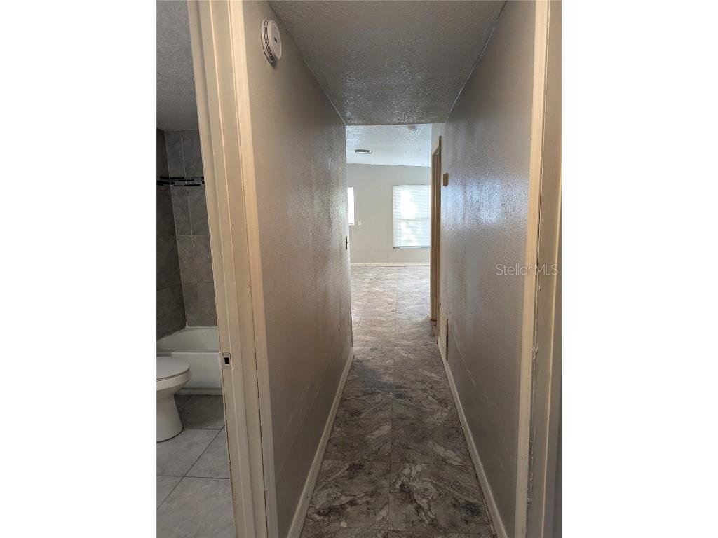 8713 N Mandarine Place Tampa FL 33617 TB8459016 image8