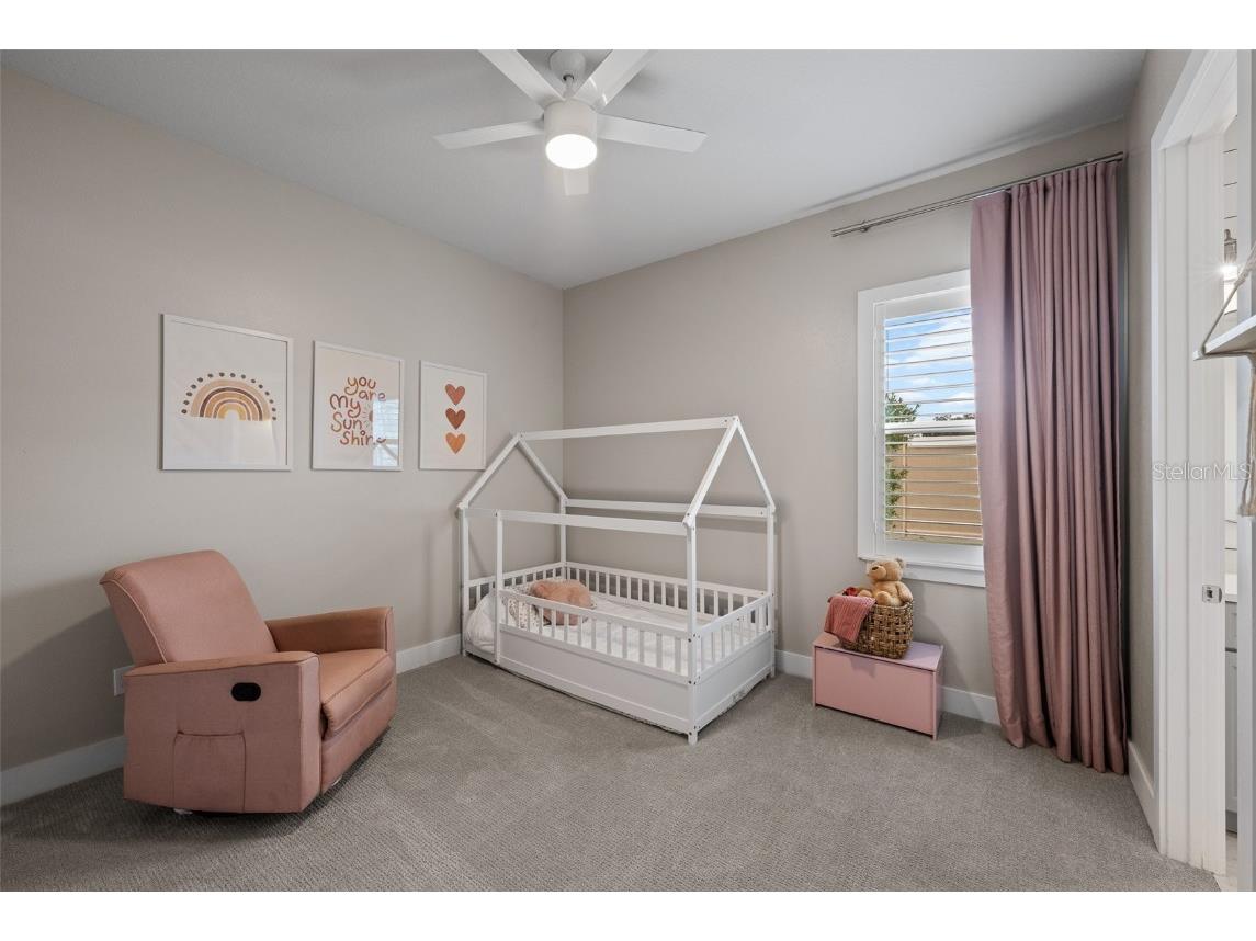 8714 Drummer Plank Drive Wesley Chapel FL 33545 TB8436346 image27