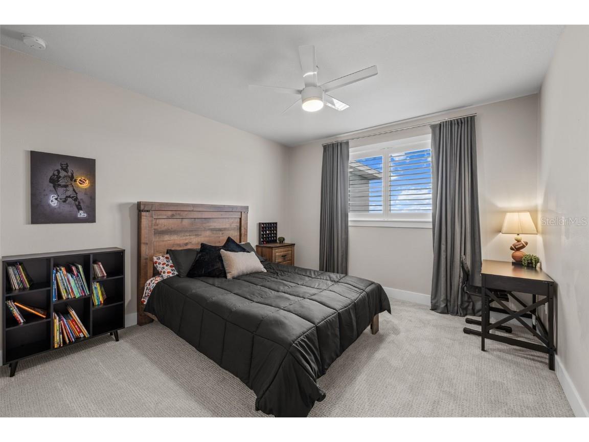 8714 Drummer Plank Drive Wesley Chapel FL 33545 TB8436346 image32