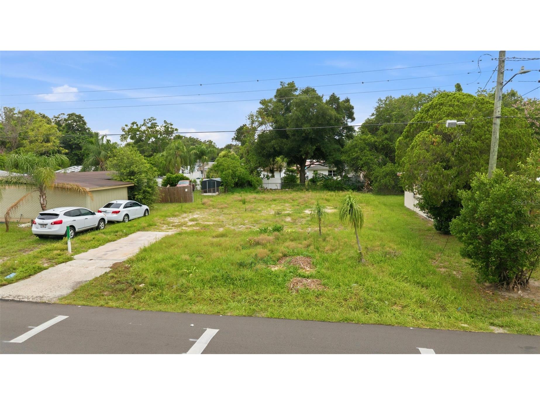8714 N Hyaleah Road Tampa FL 33617 TB8525450 image3