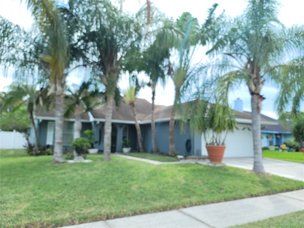 8714 Osage Drive Tampa FL 33634 T3468400 image1