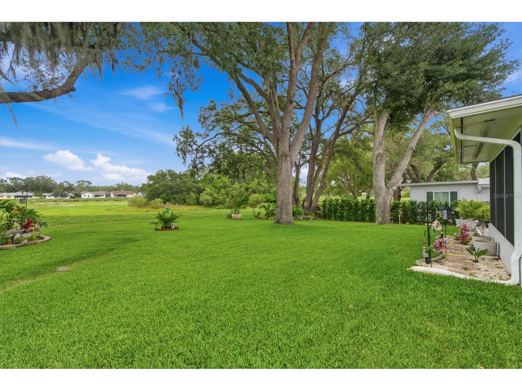 8715 Benton Drive Port Richey FL 34668 TB8515172 image28