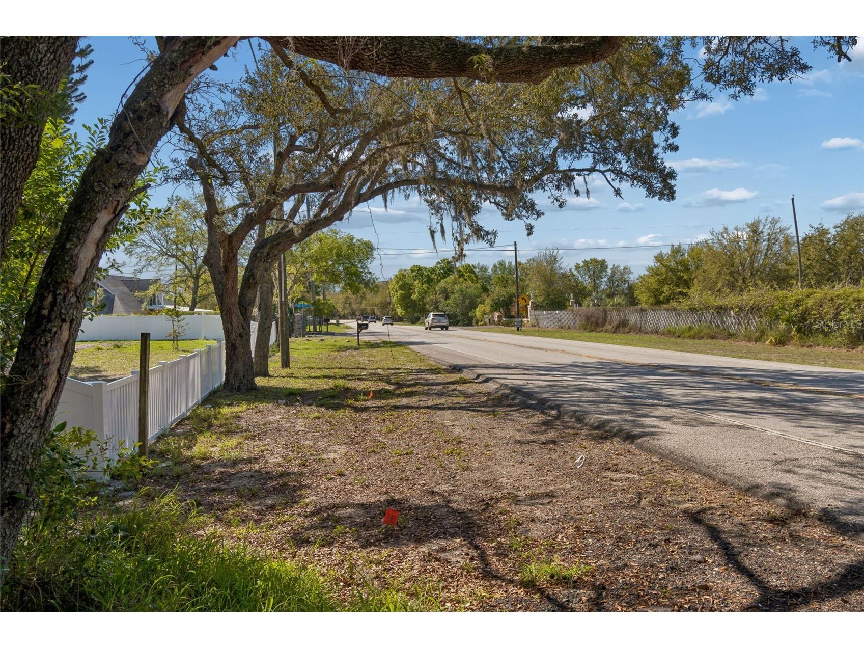 8715 Brooke Angela Drive Odessa FL 33556 TB8517622 image12