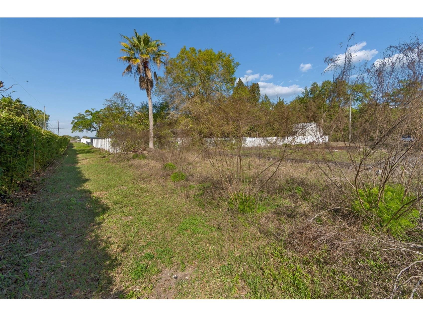 8715 Brooke Angela Drive Odessa FL 33556 TB8517622 image7