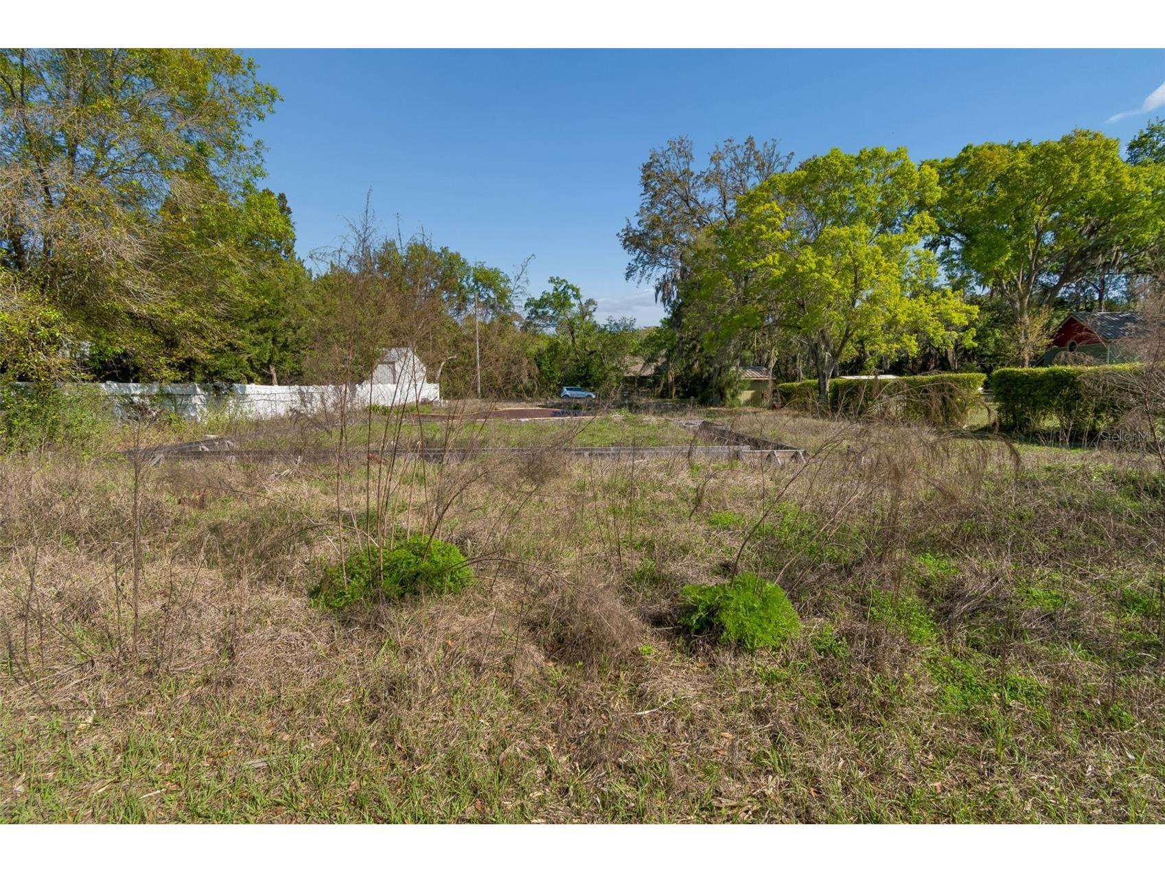 8715 Brooke Angela Drive Odessa FL 33556 TB8517622 image8