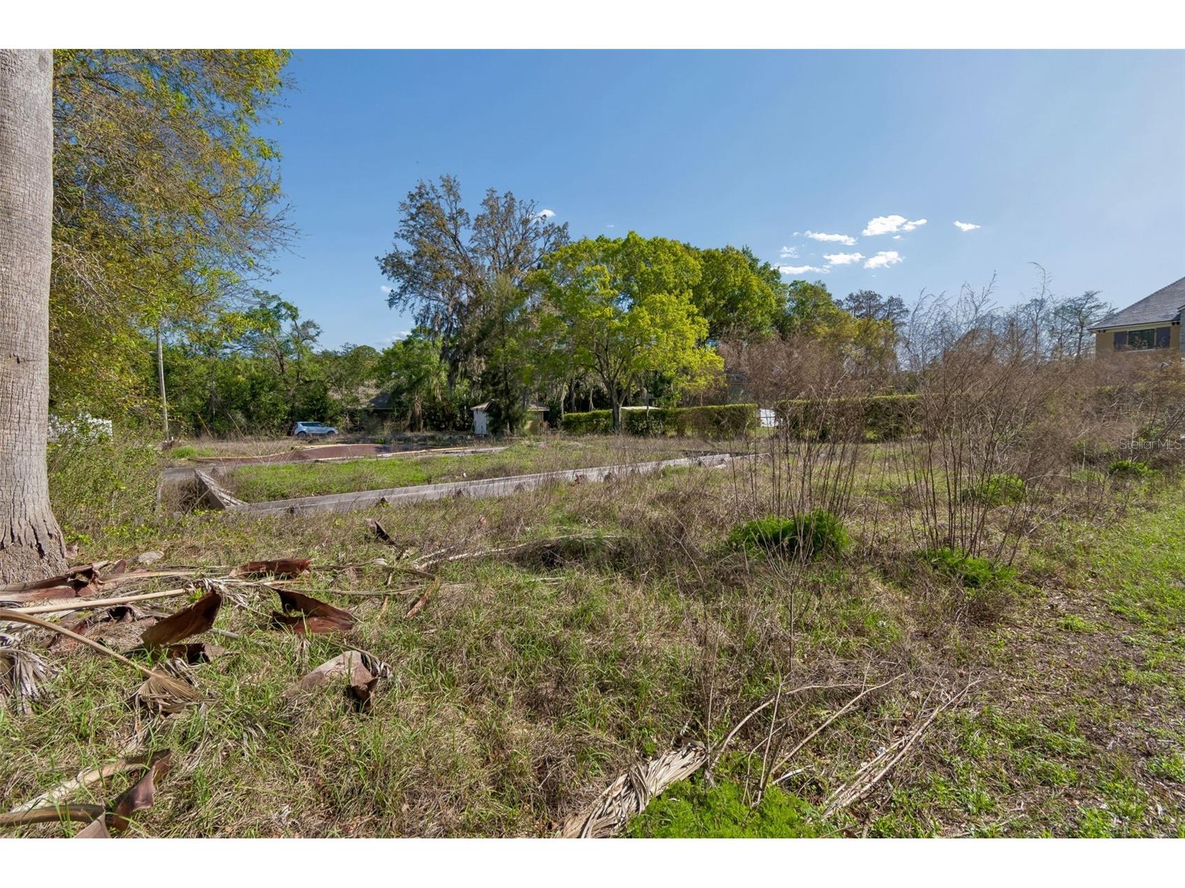 8715 Brooke Angela Drive Odessa FL 33556 TB8517622 image9
