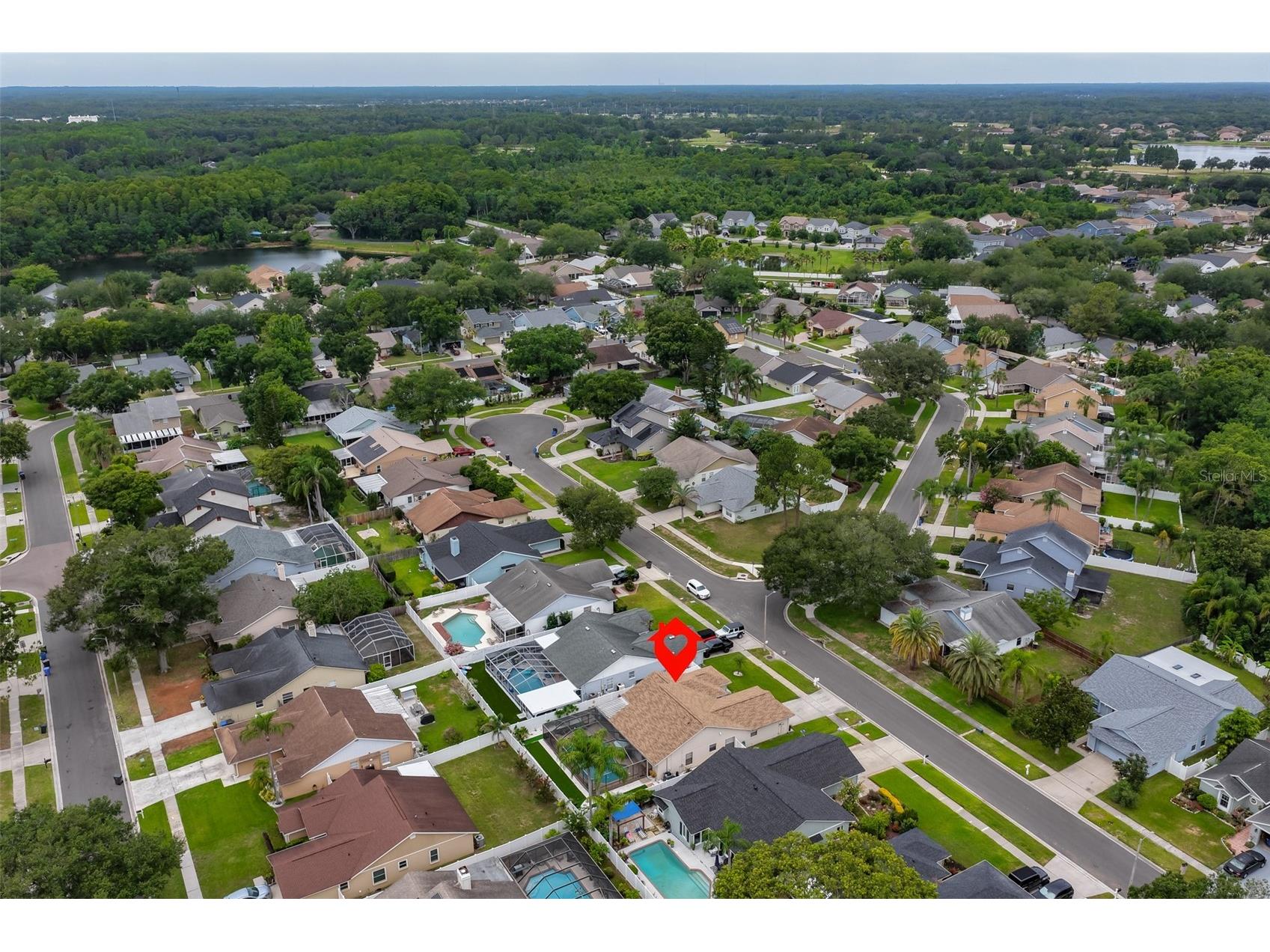 8715 Hampden Drive Tampa FL 33626 TB8518050 image47