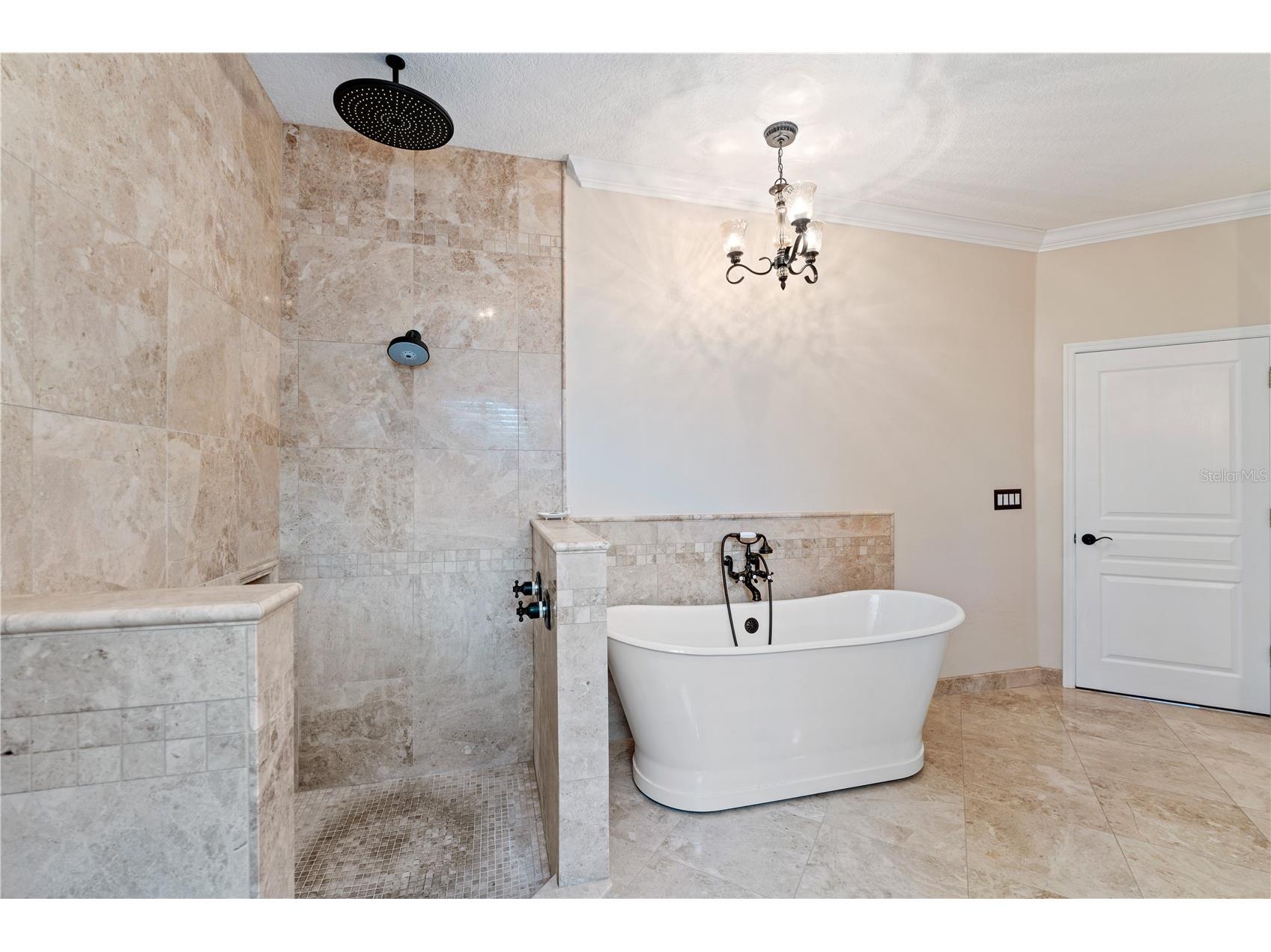 8715 Hidden Green Lane Tampa FL 33647 TB8497951 image32